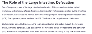 The Role of the Large Intestine: Defecation