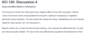SCI 120: Discussion 4