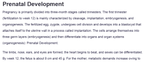 Prenatal Development