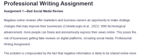 Professional Writing Assignment