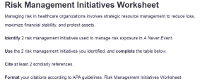 Risk Management Initiatives Worksheet