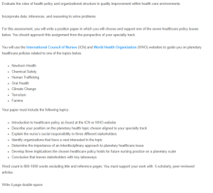 A Nursing Perspective on Global Policies and Responsibilities