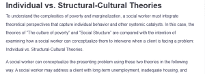 Individual vs. Structural-Cultural Theories