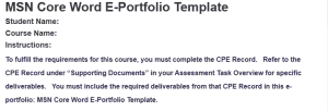 MSN Core Word E-Portfolio Template