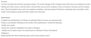 Presentation - Leadership Style