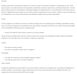 Stakeholder Summary Report