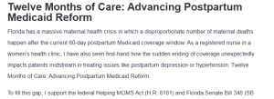 Twelve Months of Care: Advancing Postpartum Medicaid Reform