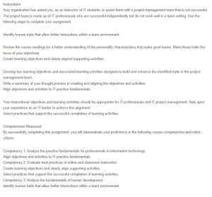Enhancing Team Performance in IT Project Management