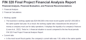 FIN 320 Final Project Financial Analysis Report