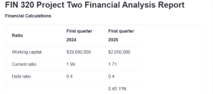 FIN 320 Project Two Financial Analysis Report
