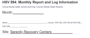 HSV 594: Monthly Report and Log Information