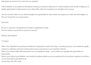 Journal Entry - Practicum Experience