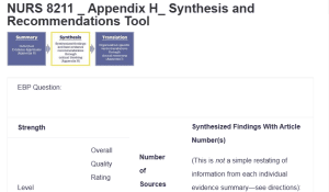 NURS 8211 _ Appendix H_ Synthesis and Recommendations Tool