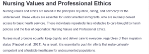 Nursing Values and Professional Ethics