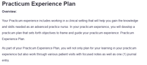 Practicum Experience Plan