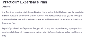  Practicum Experience Plan