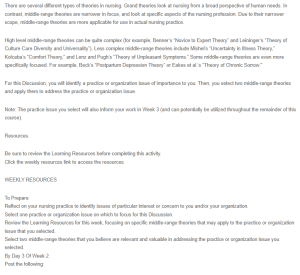 Applying Middle-Range Nursing Theories to Address Nurse Burnout