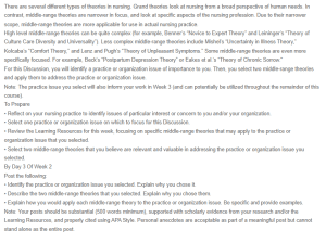 Discussion - Middle-Range Theories and Nursing Practice Issues