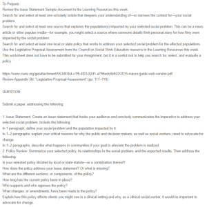 Issue Statement and Identification of a Policy