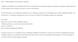 Muddiest Point and Peer Feedback