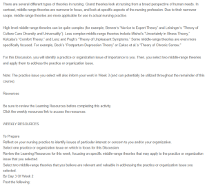 Peer Responses - Middle-Range Nursing Theories