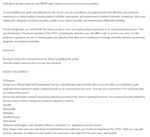 Practicum Experience Plan(PEP)