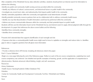 Windshield Survey and Community Health Assessment - Austin, Minnesota