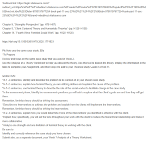 Application of Feminist Theory to a Case Study