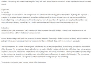 Concept Map - The 3Ps and Mental Health Care