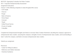 Entrepreneurial Strengths and Actions to Increase Value Creation