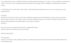 Nurse Practitioner Professional Career Plannerr