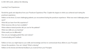 Practicum Experience