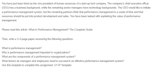 Unit 1 Individual Project - Performance Management